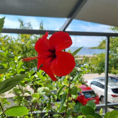 Apartman Ruza Подгора Экстерьер фото